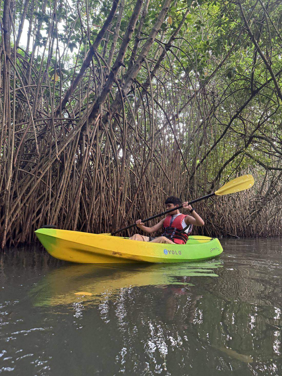 Prerna kayaking through mangroves